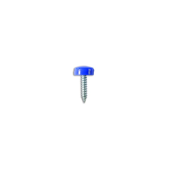Number Plate Screws - Blue - No.8 x 3/4in. - Pack Of 100