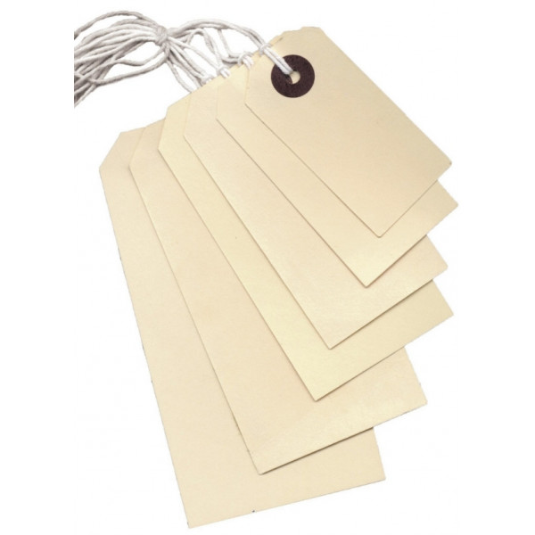 String Tags with 9 Inch White String - 95 x 48mm - Box of 1000