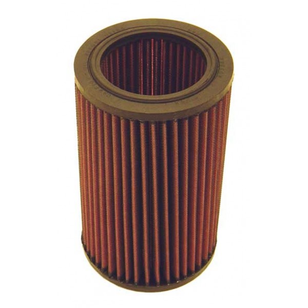 Replacement Air Filter