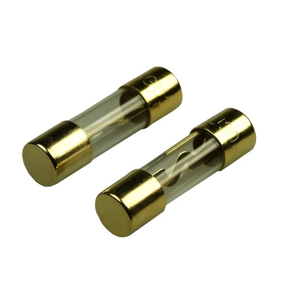 Fuse 30A AGU x2