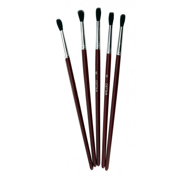 Touch-Up Paint Brushes - Size 6 - Pack of 5
