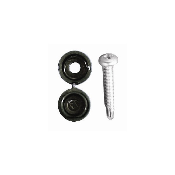 Number Plate Drill Screws & Caps - Black - Pack Of 20