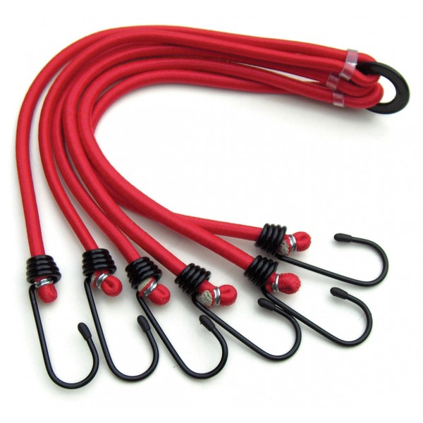 Luggage Elastics - 6 Claw