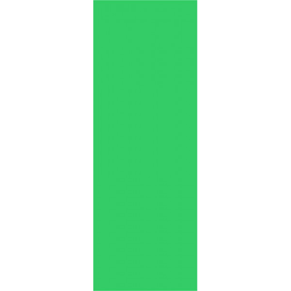 E.V NO PLATE GREEN STICKER